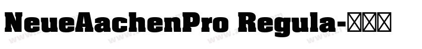 NeueAachenPro Regula字体转换